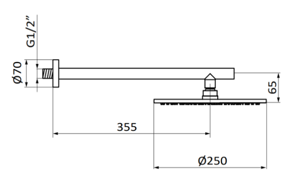 Тонка душова лійка з кронштейном Hydro Audrey showerhead + Stick arm 05515893 PVD нержавіюча сталь