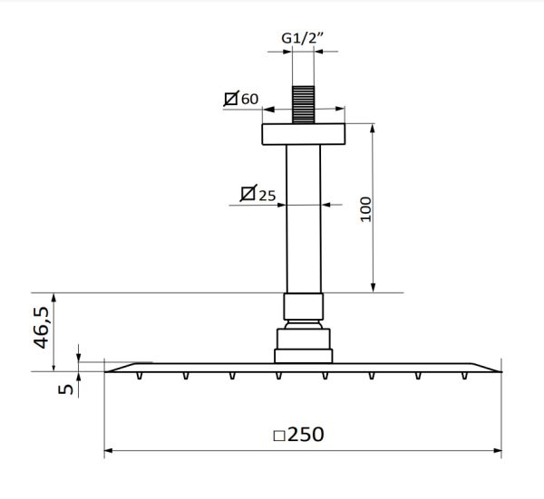 Квадратна душова лійка з кронштейном Square Slim 250 showerhead + Square Ceiling arm 05646611 колір білий