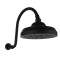 Душова лійка на стіну 1866 showerhead + Curved arm 058294 колір чорний