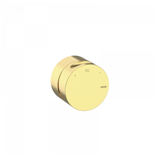 Змішувач для душу GRB in Cool прихованого монтажу без прихованої частини поліроване золото 90101005